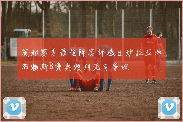 英超赛季最佳阵容评选出炉拉亚加布赖斯B费奥赖利无可争议